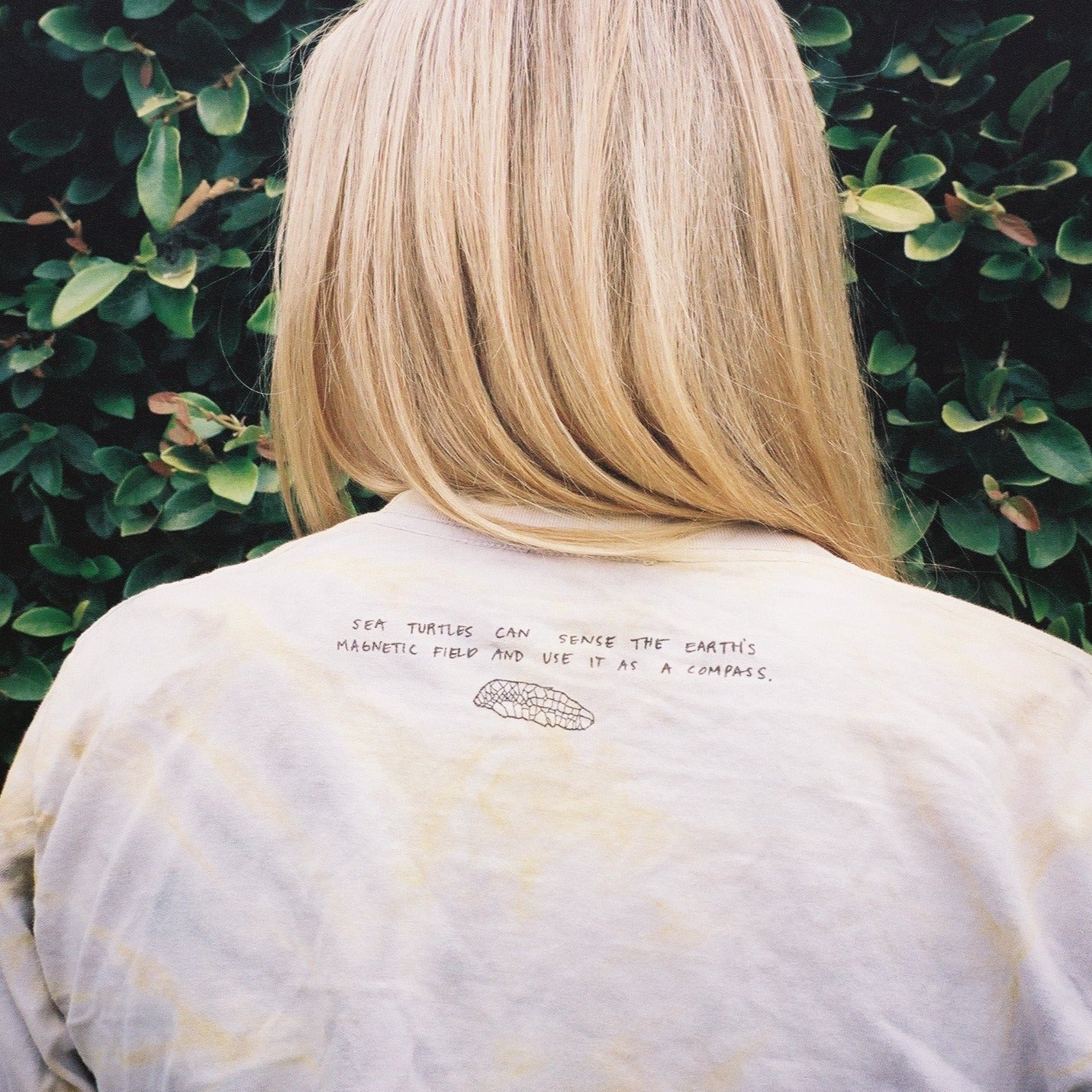 Sea Turtle Tie-Dye Tee