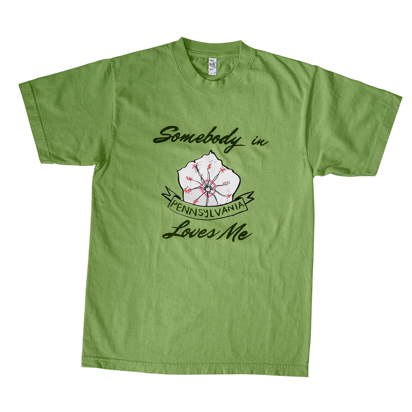 Somebody in Pennsylvania Loves Me Tee (Green)