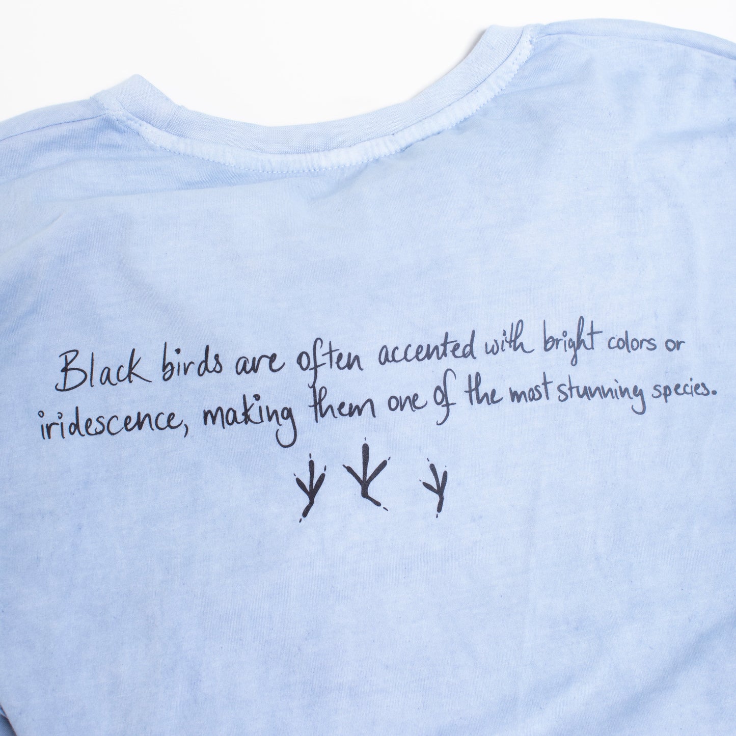 BlackAFinStem x Animalia Blackbird Indigo Dyed Long Sleeve Tee